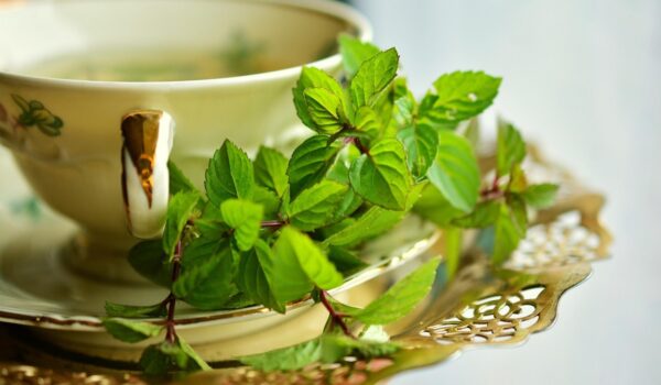 Té de menta: beneficios digestivos y cómo prepararlo