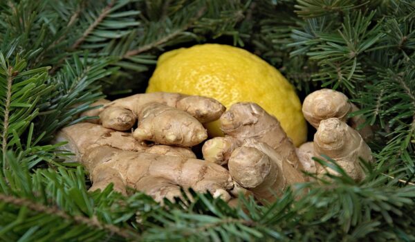 Té de jengibre con limón: propiedades, beneficios y cómo prepararlo